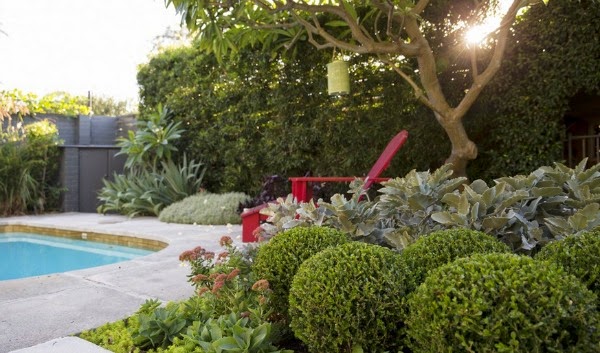 Vida al aire libre, un jardín con piscina - Guia de jardin