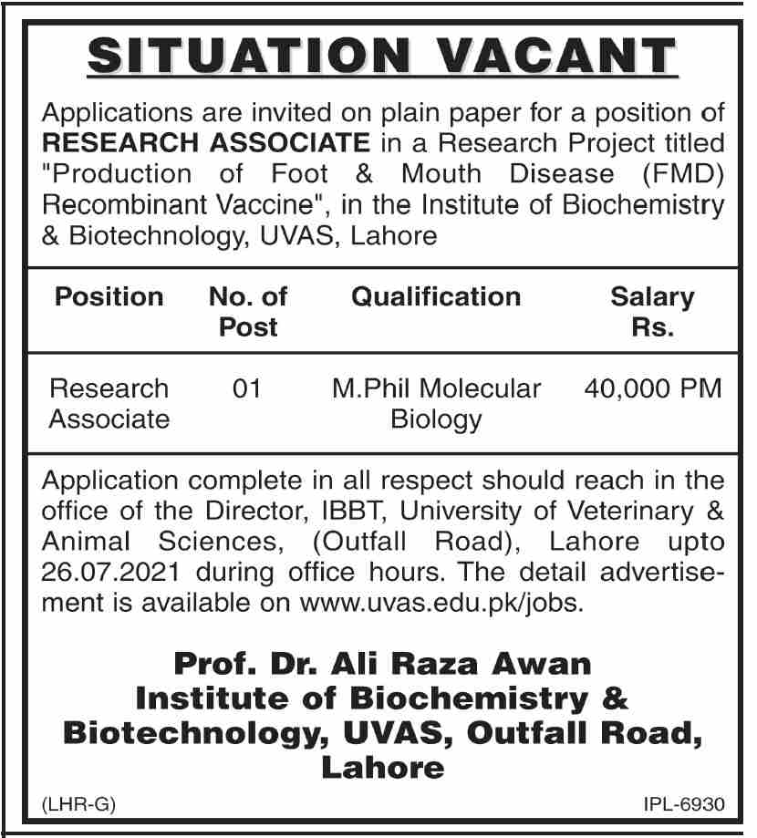 www.uvas.edu.pk Jobs 2021 - Institute of Biochemistry & Biotechnology UVAS Jobs 2021 in Pakistan