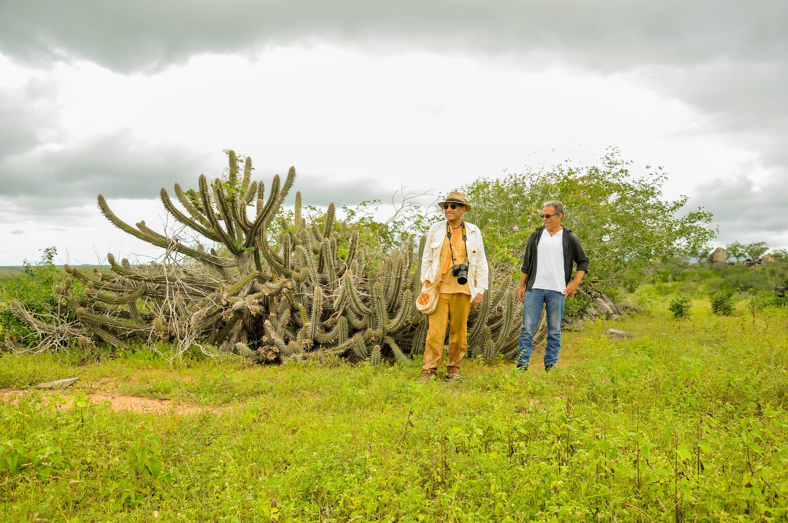 FAZENDA MARANDUBA