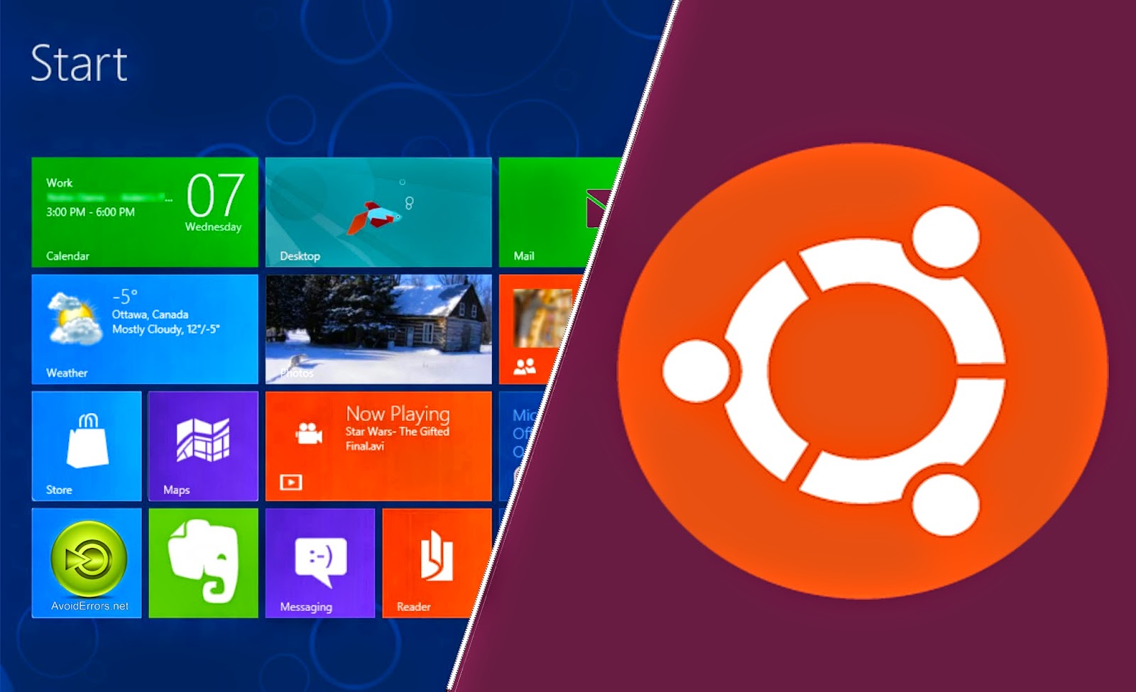 Bsmultitool exe download windows 10 Bsmultitool exe download windows 10
