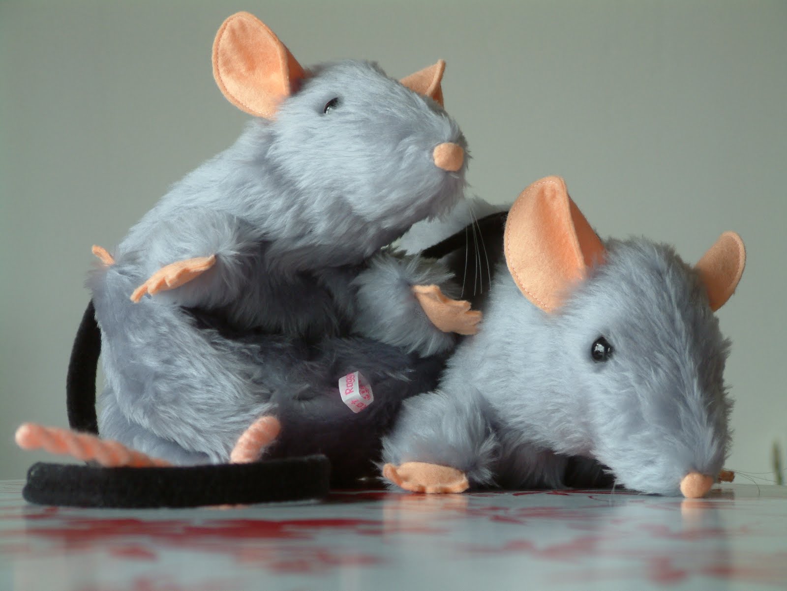 The Raggy Rat Raggy ratbag shoulder bags!