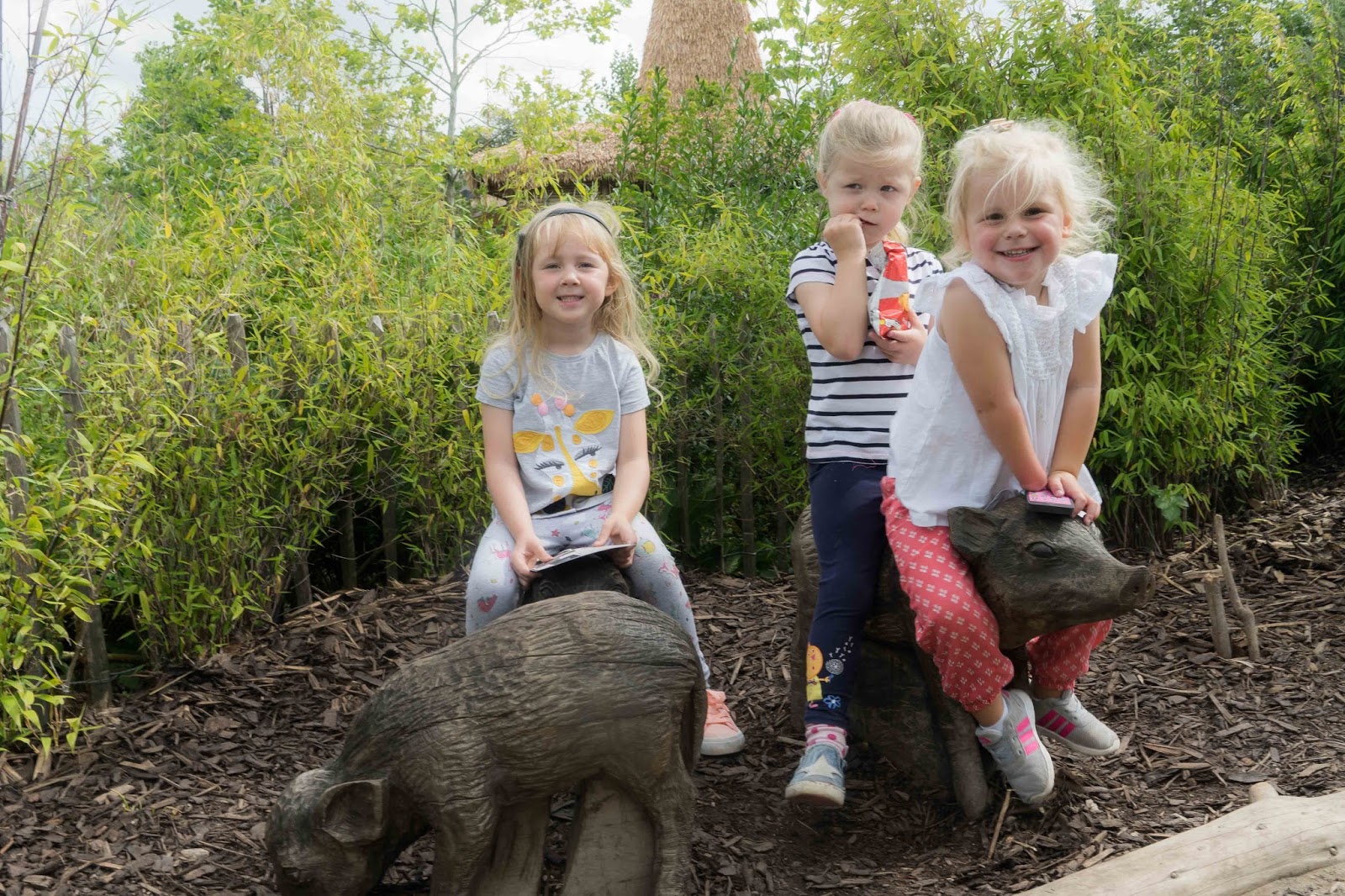 Chester zoo review