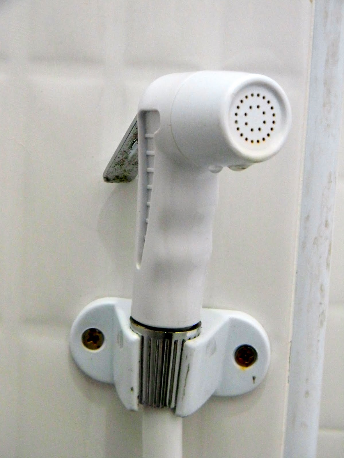 Simply Me . How to use a toilet in Thailand.