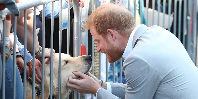 Prince Harry and Meghan Markle prefer dogs over cats