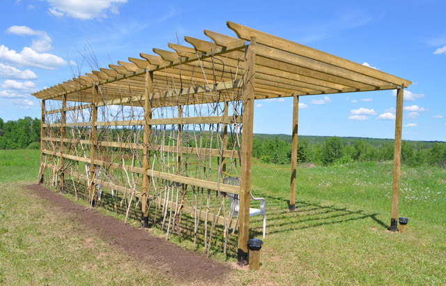 where to buy assembled bikes