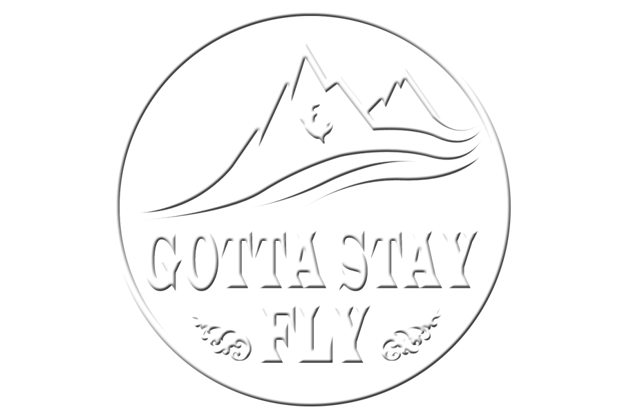 Gotta Stay Fly
