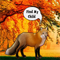WowEscape Find The Fox Child