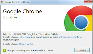 Google Chrome 21.0.1180.89 