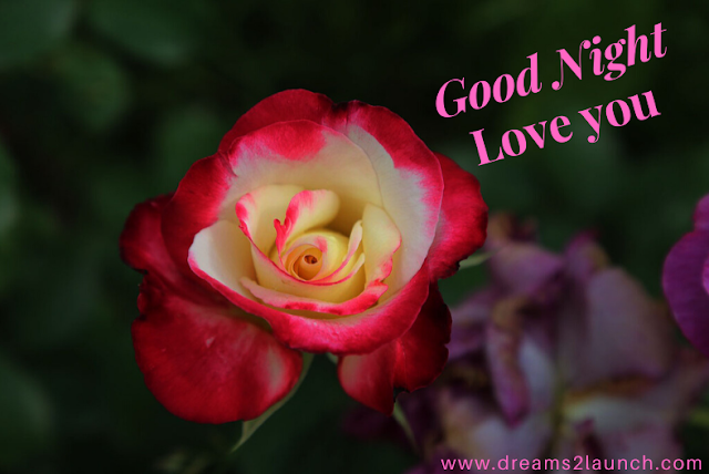 good night images good night images