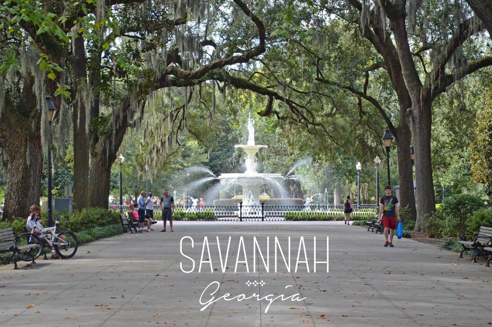 Pictures Of Savannah Georgia 90
