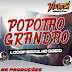 DJ NELTON - QUE POPOTAO GRANDAO (COM LOOP BAGULHO DOIDO)-BAIXAR GRÁTIS