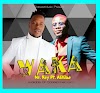 Audio | Nay Wa Mitego Ft Alikiba - Waka | Download 