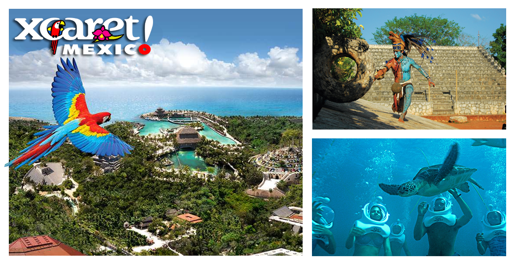 Sub Sea Systems Our World All About The Award Winning Xcaret