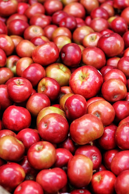 manfaat buah apel bagi kesehatan