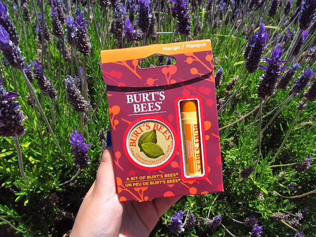 set navidad burt's bees chile