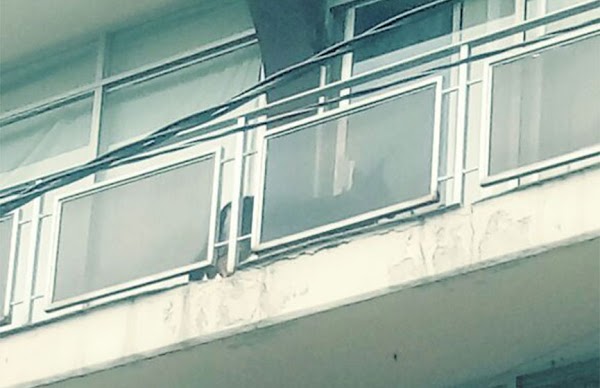 Se niegan a rescatar a pastor alemán atrapado en un balcón Se niegan a rescatar a pastor alemán atrapado en un balcón