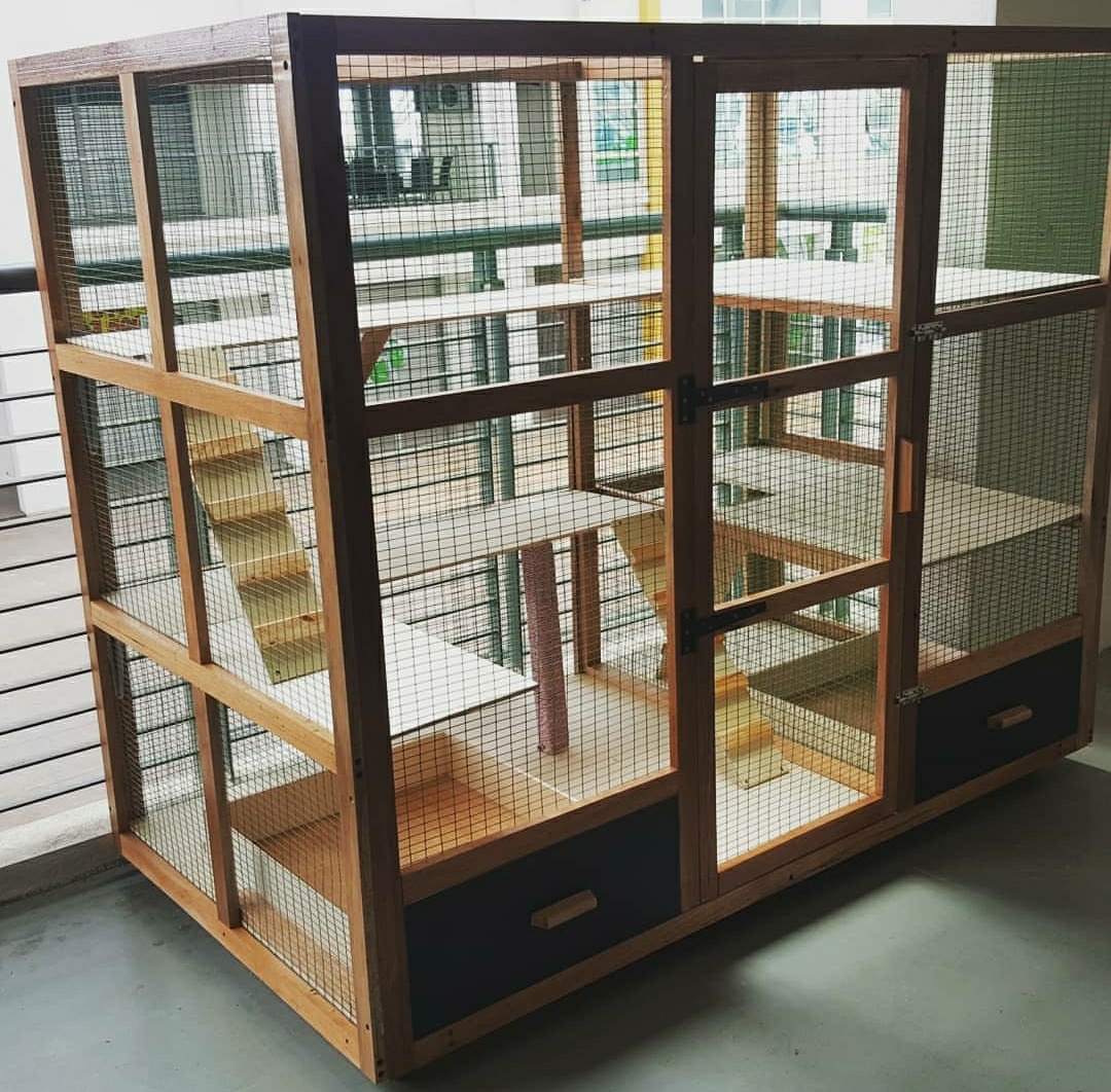 Konsep Populer 21+ Contoh Rumah Kucing