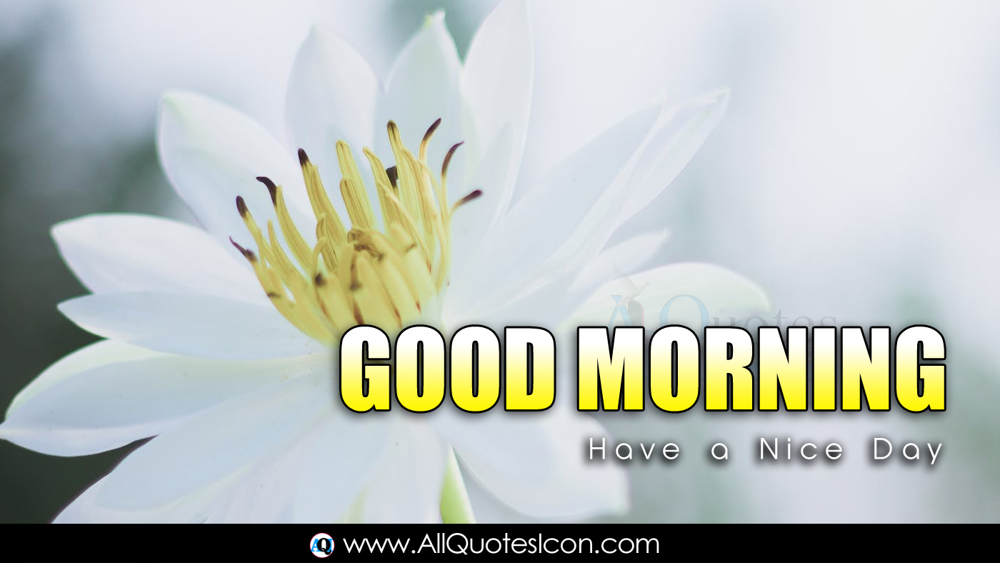 Top Good Morning Messages Top Good Day SMS Greetings in English HD