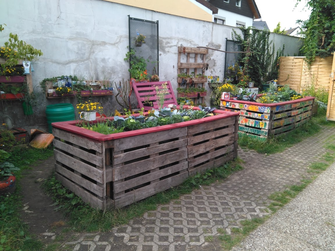 Günstig gärtnern Nischenthema