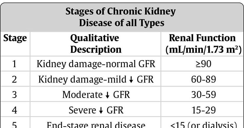 treatment-for-kidney-disease-glomerular-filtration-rate-gfr-is-an