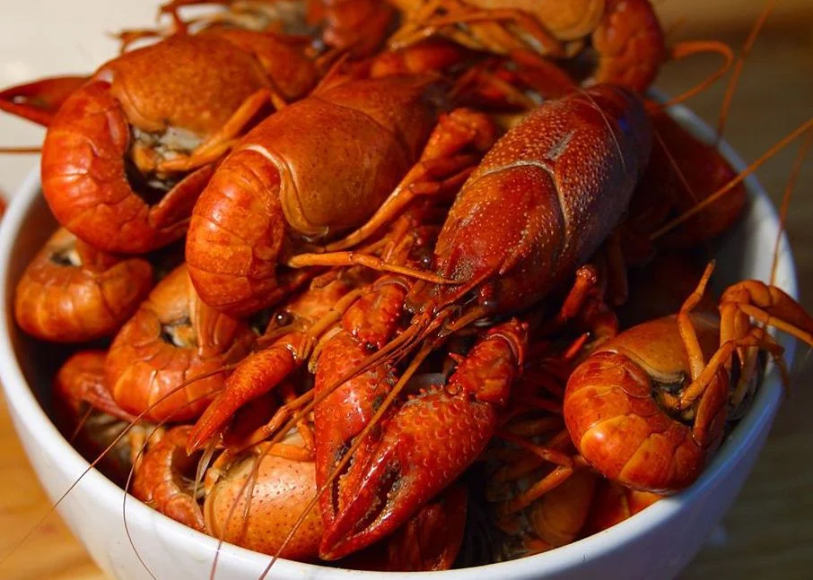 manfaat mengkonsumsi lobster untuk kesehatan