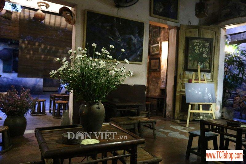 Trắng tinh khôi cúc họa mi trong chớm đông Hà Nội Trắng tinh khôi cúc họa mi trong chớm đông Hà Nội