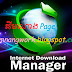 Internet Download Manager IDM 6.25 Build 25 and Crack [Software]