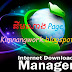 Internet Download Manager IDM 6.25 Build 25 and Crack [Software]