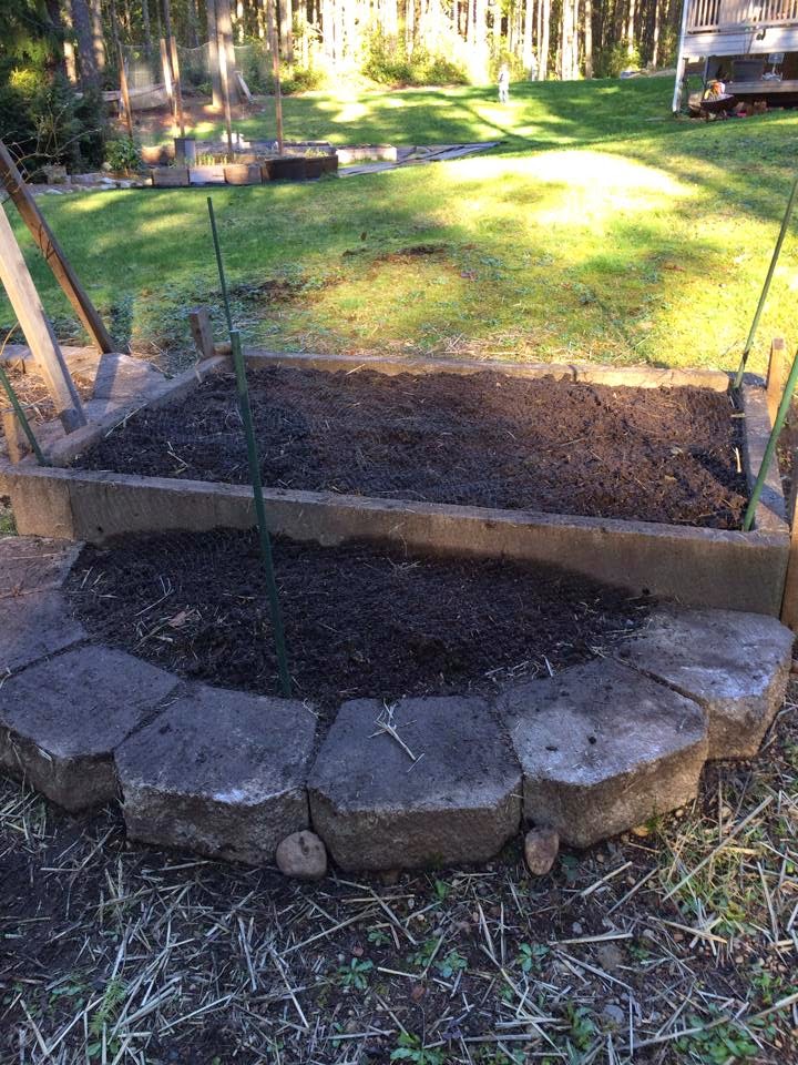 Aisling Farms Companion Planting with Onions & Strawberries