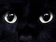 Black Cat Face Wallpaper. black cat face wallpaper animal digital photo cat face wallpaper 