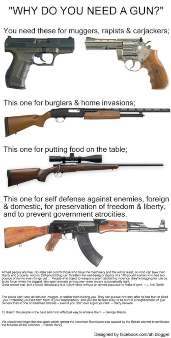 90 Miles From Tyranny Why Do You Need A Gun?