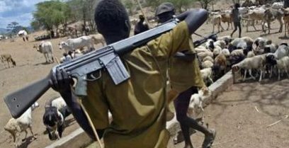 Again, herdsmen invade Falae’s farm, open fire on policemen