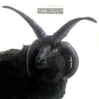 [1994] - The Cult