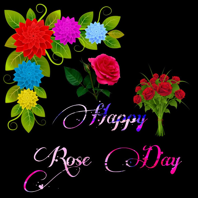 Happy Rose Day Images for Whatsapp