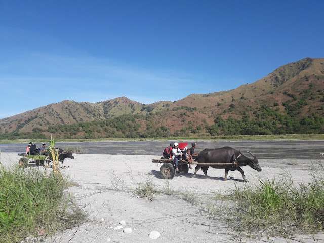 Tribes and Treks uses carabao carriage