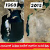 අතුරුදහන් වූ මුහුද ලෙසින් හදුන්වන ඇරල් මුහුද (Aral Sea)
