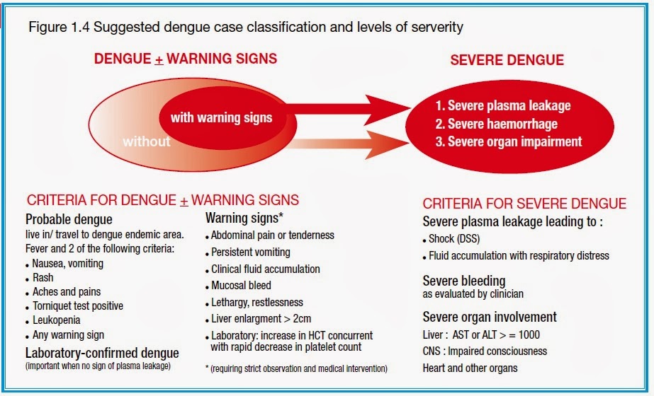 Medical PBL Dengue in Malaysia An All Out War in Public Health and