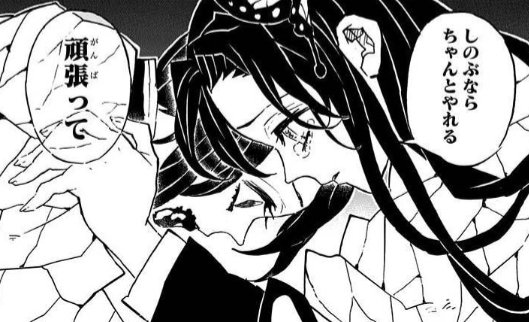 Book Review 『鬼滅の刃』考察 胡蝶しのぶについて①