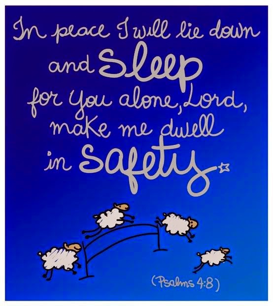 Beanscot Safely Sleeping beanscot-safely-sleeping
