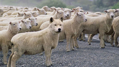 temposfinais.blogspot.com