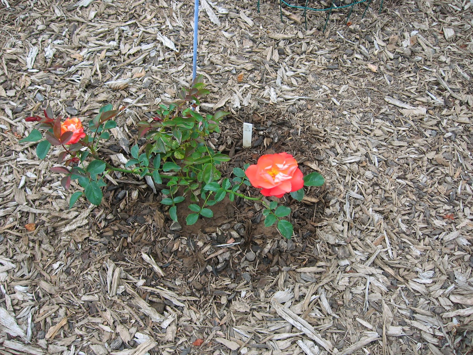 Время года это состояние души ... У кого-то в душе целыми дням Статусы и цит