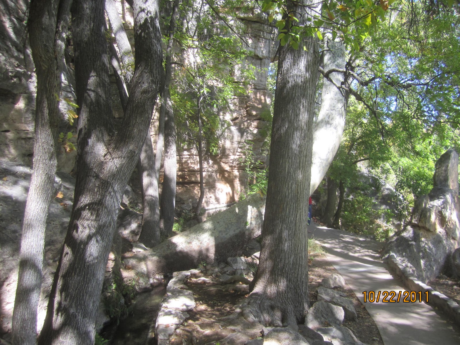 Go with the Gilmore's Montezuma National Park