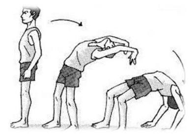 Materi Pola Gerak Senam Lantai Sikap Kayang, Headstand Dan Hansdstand ...