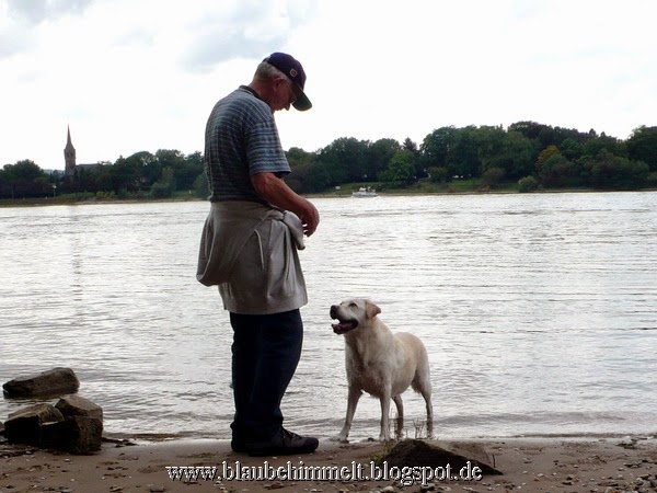 Blaubehimmelt 15.09.14 BlumenkohlCurryCrunch und nasser Hund