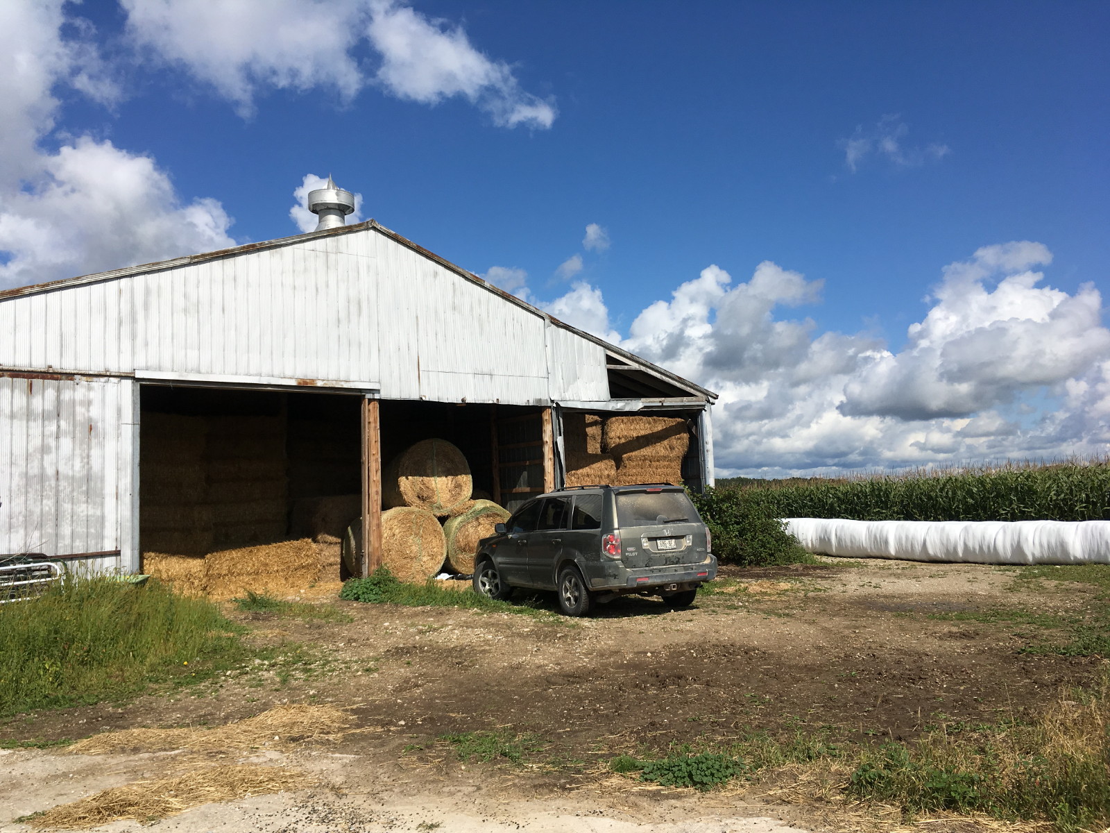 Anja's Photo Journal Elmira Produce Auction