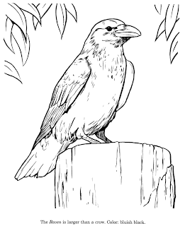Raven coloring  galerry wallpaper Raven coloring  galerry wallpaper