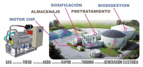 generación del biogas