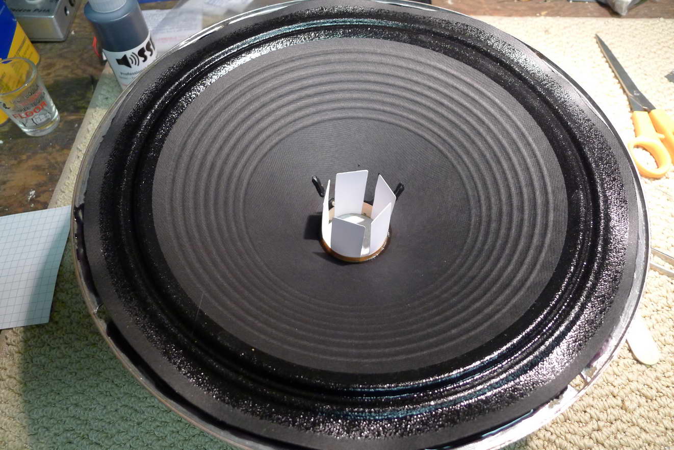 The Big Whistle Speaker Reconing