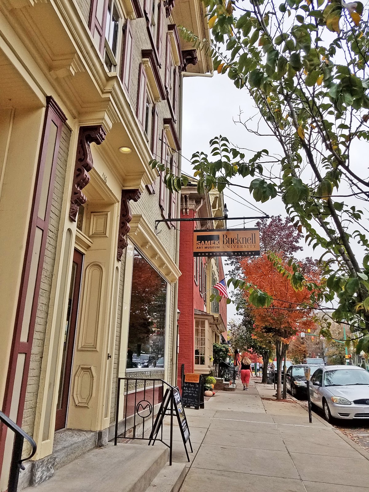 Jax Stumpes Lewisburg, PA (10/30/2019)