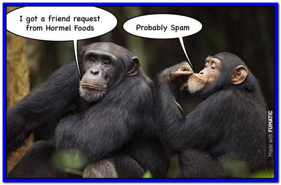 Привет я бабуин я как человек. Анекдот про обезьянку. Monkey Call. Бабуин с палкой Мем. Бабуин с телефоном Мем.